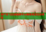 国产双飞在线视频平台畅享高清互动体验