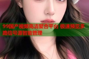 99国产视频高清聚合平台 极速预览多路信号源智能管理