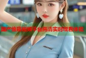 国产偷窥视频平台高清实时观看体验