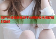 国产在线偷录视频平台揭秘轻松捕捉精彩瞬间