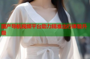 国产导航视频平台助力精准出行体验升级