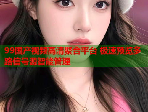 99国产视频高清聚合平台 极速预览多路信号源智能管理  第1张