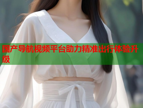 国产导航视频平台助力精准出行体验升级  第1张